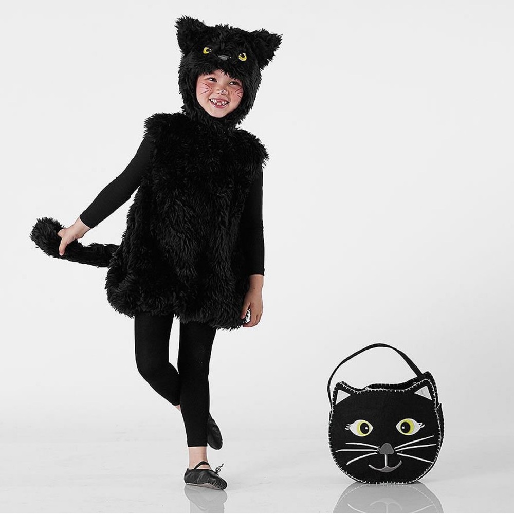 Pottery Barn Kids Furry Black Cat Costume